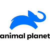 animal_planet